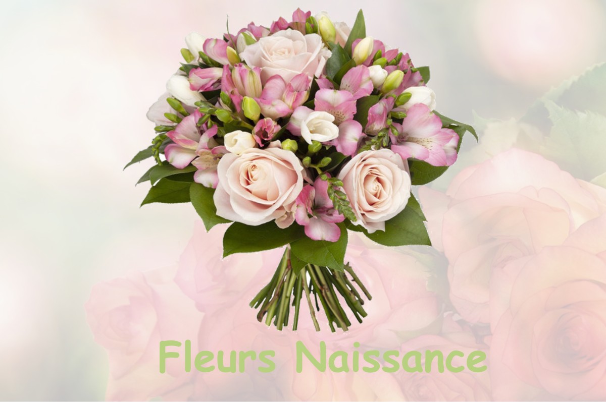 fleurs naissance LIESLE