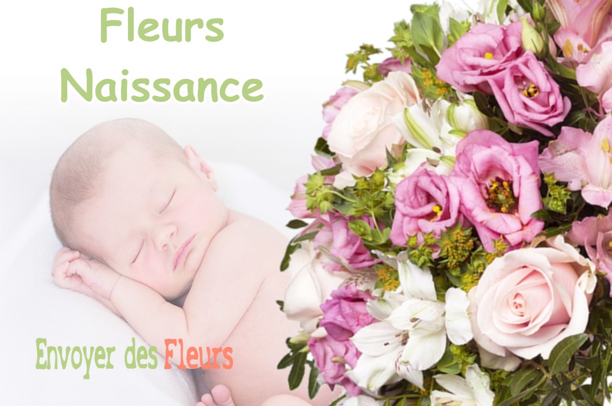 lIVRAISON FLEURS NAISSANCE à LIESLE